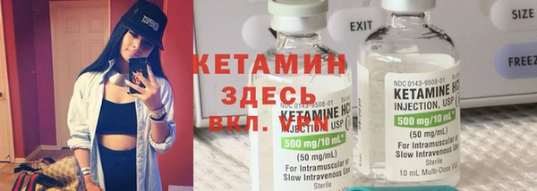 сатива Балахна