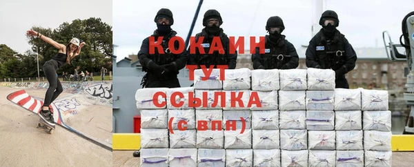 сатива Балахна