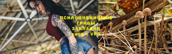а пвп мука Аркадак
