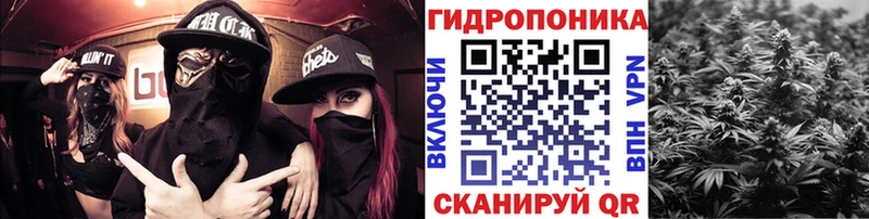 Бошки Шишки конопля  Купить закладки  Бокситогорск 